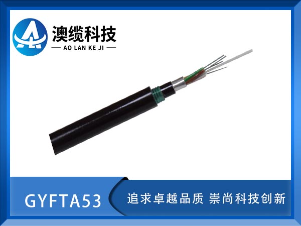 GYFTA53|GYFTA53|GYFTA53|r